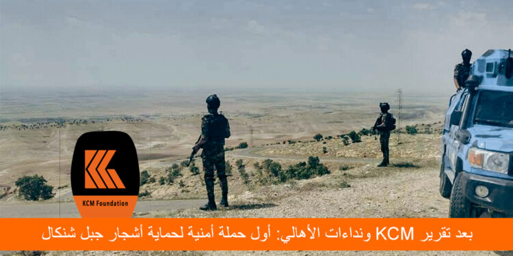 بعد تقرير KCM ونداءات الأهالي: أول حملة أمنية لحماية أشجار جبل شنكال